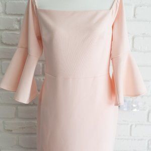 Betsy Johnson Women's Dress, Size 14, pale pink, Bell Sleeves